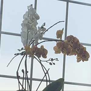 Meet your Posher, Nadia